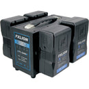 Fxlion Quad-Channel Gold-Mount Fast Battery Charger