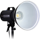 BHPV Fotodiox Pro LED-200WA-56 Daylight Studio LED