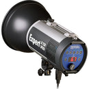 Hensel Expert D 250 SPEED Monolight