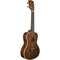 KALA Gloss Mahogany Concert Ukulele