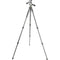 Vanguard Alta Pro 2+ 263AP Aluminum-Alloy Tripod Kit with Alta PH-32 3-Way, Pan-and-Tilt Head