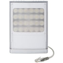 Raytec VAR2-POE-w8-1 Medium-Range White-Light PoE Illuminator (Silver)