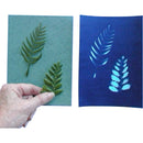 Cyanotype Store Cyanotype Paper (5 x 7", Baby Blue, 24 Sheets)