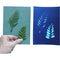Cyanotype Store Cyanotype Paper (5 x 7", Baby Blue, 24 Sheets)