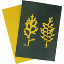 Cyanotype Store Cyanotype Paper (5 x 7", Lemon Yellow, 48 Sheets)