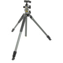 Vanguard Alta Pro 2+ 263AB100 Aluminum-Alloy Tripod Kit with Alta BH-100 Ball Head