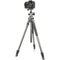 Vanguard Alta Pro 2+ 263AB100 Aluminum-Alloy Tripod Kit with Alta BH-100 Ball Head