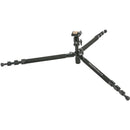 Davis & Sanford Explorer Vista Tripod with BHQ8 Ball Head