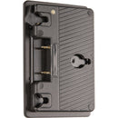 FSI Solutions Chassis Mounted Power Plate with XLR (Gold Mount)