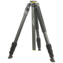 Vanguard Alta Pro 2 264AO Aluminum Tripod Kit with PH-31 2-Way Fluid Pan Head