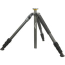 Vanguard Alta Pro 2 264AO Aluminum Tripod Kit with PH-31 2-Way Fluid Pan Head