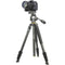 Vanguard Alta Pro 2 264AO Aluminum Tripod Kit with PH-31 2-Way Fluid Pan Head