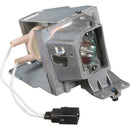 Optoma Technology BL-FP195A P-VIP 190W Replacement Lamp for the HD29Darbee Projector