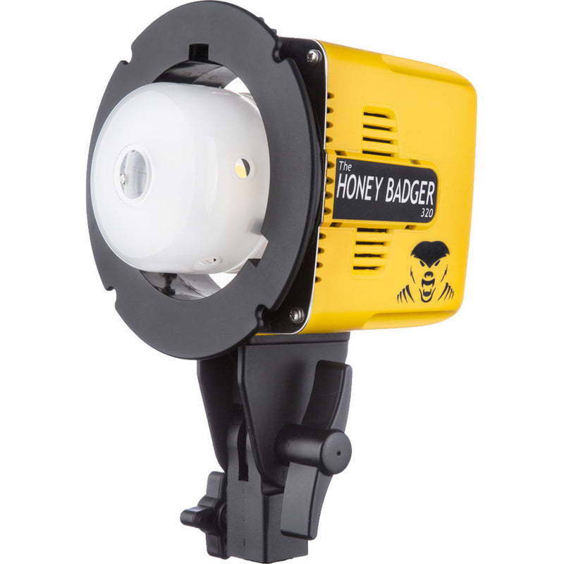 Interfit Honey Badger 320Ws 2-Light Kit
