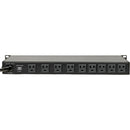 Juice Goose Rackpower 100 for 19" Rack Systems (15 A)