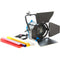 CAME-TV 1000W Fresnel Tungsten Video Camera Spot Light Kit with Dimmers