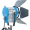 CAME-TV 4-Light Fresnel Tungsten Video Spot Light Kit (1 x 650W and 3 x 300W)