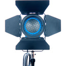 CAME-TV 2-Light Fresnel Tungsten Video Spot Light Kit (1 x 650W and 1 x 300W)
