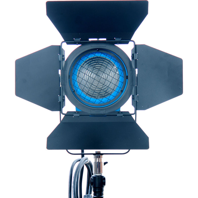 CAME-TV 2-Light Fresnel Tungsten Video Spot Light Kit (1 x 650W and 1 x 300W)