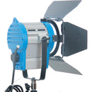 CAME-TV 2-Light Fresnel Tungsten Video Spot Light Kit (1 x 650W and 1 x 300W)