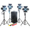 CAME-TV 650W Tungsten Fresnel 4-Light Kit