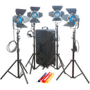 CAME-TV 4 x 300W Fresnel Tungsten Continuous Video Spot Light Kit