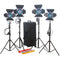 CAME-TV 4-Light Fresnel Tungsten Video Spot Light Kit (2 x 650W and 2 x 300W)