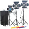 CAME-TV Fresnel Tungsten Studio Spotlights (2 x 1000W, 1 x 650W)