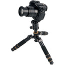 CAME-TV Q166A Mini Aluminum Tripod with Ball Head