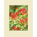 Lineco Conservation Mat Board (32 x 40", Cream, 25-Pack)