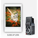 Mint Camera TL70 Lens Set