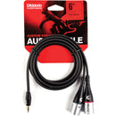 D'Addario Custom Series 1/8" to Dual XLR Audio Cable (6')