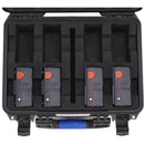 BLUESHAPE UN Certified, Labeled Flight Case for 8 Mini Shell Batteries