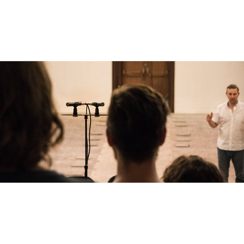 sE Electronics sE8 Small-Diaphragm Condenser Microphone (Matched Pair)