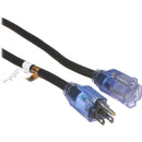 Century Wire and Cable Pro Glo SJTW Extension Cord with CGM (12 AWG, Black, 50')