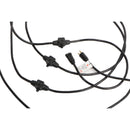 Century Wire and Cable 14 AWG Multi-Outlet Power Cable (32.5', Black)