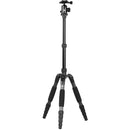 Sirui A1205 Carbon Fiber Tripod with Y-11 Ball Head
