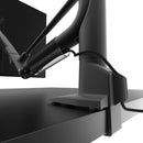 Kanto Living DMS1000 Desktop Monitor Mount (Black)