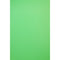 Savage 5 x 12' Infinity Vinyl Background (Chroma Green)