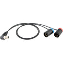 Cable Techniques CT-LP-SR5P-RR-15 Low-Profile Y-Cable for Lectrosonics SRc5P/SRb5P Receivers (15")