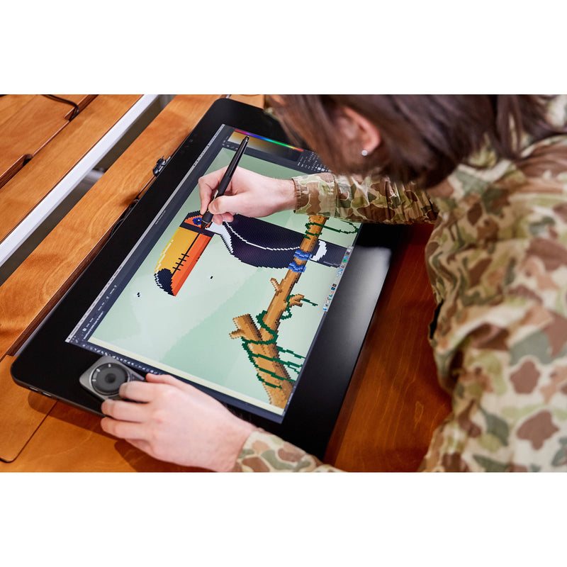 Buy Wacom Cintiq Pro 24 Creative Pen Touch Display – Tanotis