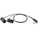 Cable Techniques CT-LP-SR5P-RR-15 Low-Profile Y-Cable for Lectrosonics SRc5P/SRb5P Receivers (15")