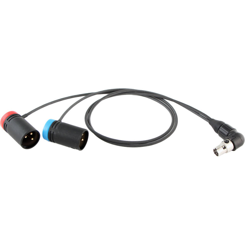 Cable Techniques CT-LP-SR5P-RR-15 Low-Profile Y-Cable for Lectrosonics SRc5P/SRb5P Receivers (15")