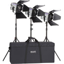 Hedler Profilux LED1000/LED1000x 3-Light Portrait Kit