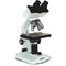 Konus Campus-2 Biological Binocular Microscope (120V, Gray)