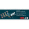 IOGEAR 8-Port Dual View Dual-Link DVI Secure KVM Switch (TAA)