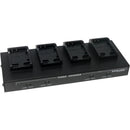 Dolgin Engineering Four Position Battery Charger for Canon LP-E17 Batteries