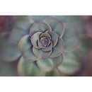 Lensbaby 46mm Macro Filter Kit