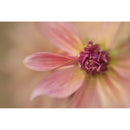 Lensbaby 46mm Macro Filter Kit