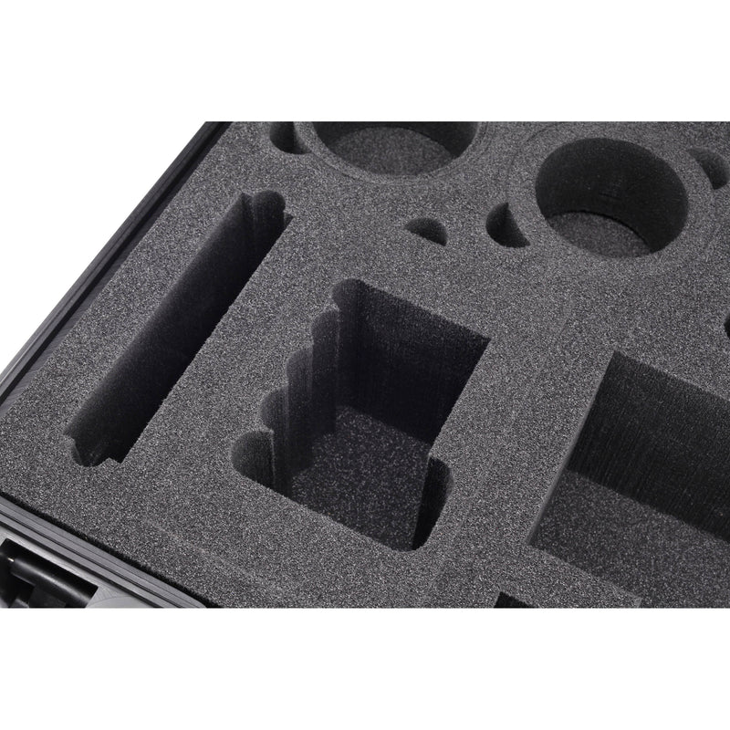 HPRC 2460 Hard Case for Panasonic Lumix GH5 (Black, Foam)